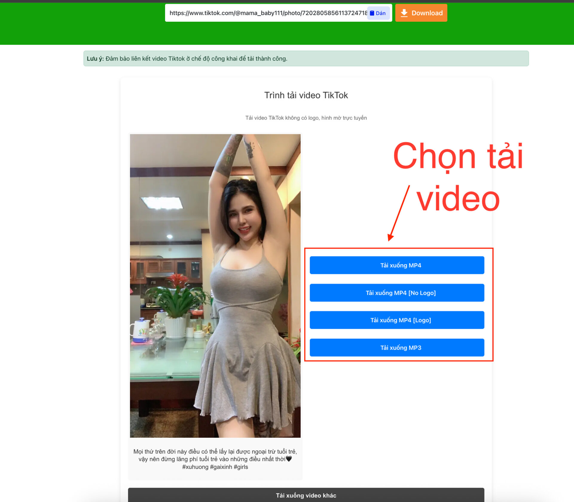 Descargar video de TikTok sin logo - paso de descarga
